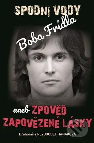 Spodní vody Boba Frídla - Drahomíra Reyboubet Hanáková - kniha z kategorie Životopisy