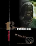Trinásta rovnobežka - Roman T. Vadovič - kniha z kategorie Cestopisy z Afriky
