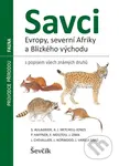 Savci Evropy, Severní Afriky a Blízkého východu - Kolektiv autorů - kniha z kategorie Biologie