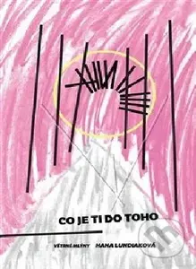 Co je ti do toho - Hana Lundiaková