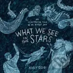 What We See in the Stars (An Illustrated Tour of the Night Sky) - kniha z kategorie Přírodní vědy a technika