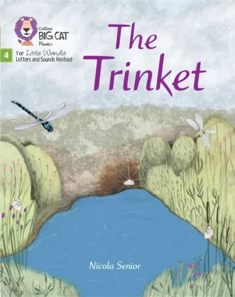 The Trinket - Nicola Senior