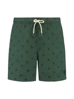 Shiwi Plavecké šortky 'Mike'  modrá / tmavozelená