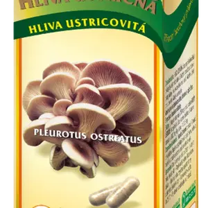 TEREZIA Hlíva ústřičná 180 kapslí