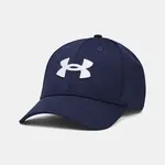 Pánská kšiltovka Under Armour