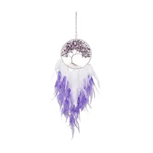 Iron Woven Web/Net with Feather Pendant Decorations