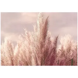 Wallarena FOTOTAPETA Tráva Boho Příroda 350x250