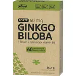 Vitar Origin Ginkgo biloba + zelený čaj 60 kapslí