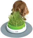 Miska na trávu pro kočky Catit Senses 2.0 Grass Planter