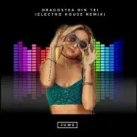 Juwe – Dragostea Din Tei (Electro House Remix)