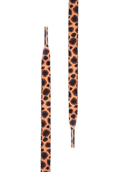 Špeciálny plochý gepard