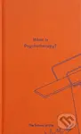 What is Psychotherapy? - kniha z kategorie Psychologie