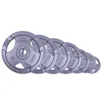 Sada 2x7ks olympijských litinových kotoučů inSPORTline Hamerton 2x 1,25-25 kg 50 mm