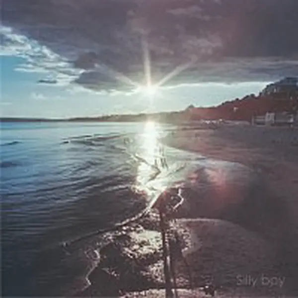Teioh – Silly boy
