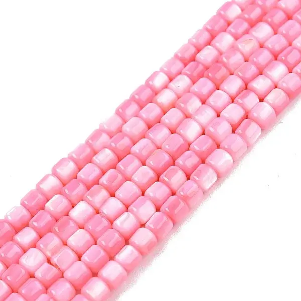 Natural Freshwater Shell Beads Strands