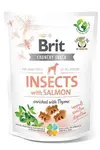 Brit Care Dog Crunchy Cracker Insects Salmon Thyme 200g