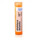 Phytolacca decandra 15CH granule 4g