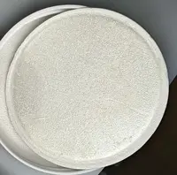 Práškový pigment Master 50g – 201 Pearlescent White