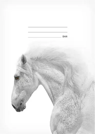 Školní sešit LUX A5 544 Kůň