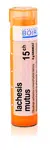 Boiron LACHESIS MUTUS CH15 granule 4 g