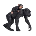 Šimpanz s mládětem