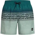 O'Neill LOGO STRIPE 16'' Pánske plavkové šortky, tmavo zelená, veľkosť