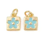 Brass Enamel Charms