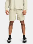 Pánske kraťasy Under Armour