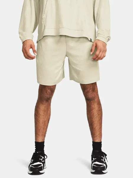 Pánske kraťasy Under Armour