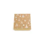 Beneto Exclusive Vánoční dárková krabička na šperky KP16-9-G