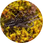 Redbass gumová nástraha nymfa dark black - l 80 mm