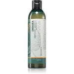 Elgon Green Imagea Absolute Shampoo rozjasňujúci a posilňujúci šampón pre farbené vlasy 250 ml