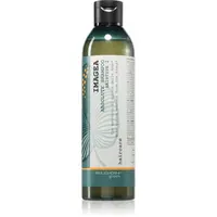 Elgon Green Imagea Absolute Shampoo rozjasňujúci a posilňujúci šampón pre farbené vlasy 250 ml