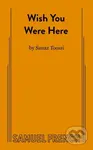 Wish You Were Here - Sanaz Toossi - kniha z kategorie Společenská beletrie