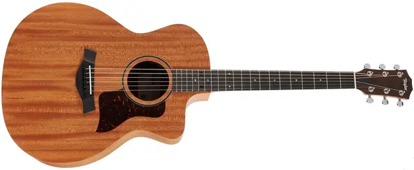 Taylor 24ce (rozbalené)