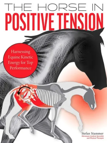 The Horse in Positive Tension - Stefan Stammer