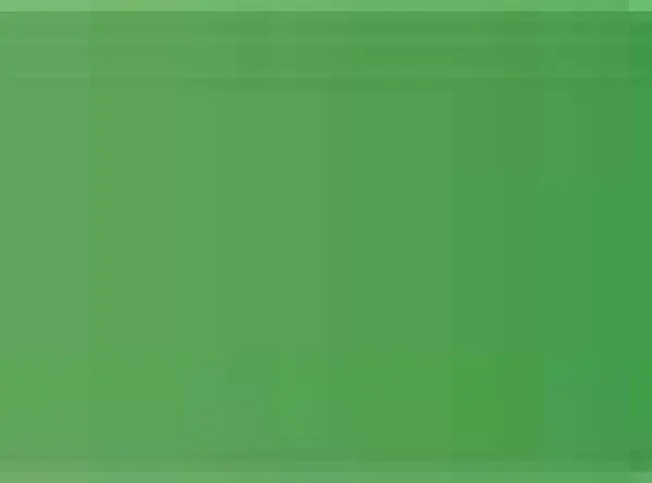 Pastel Caran d'Ache Neocolor II 210 Emerald green