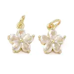 Brass Micro Pave Clear Cubic Zirconia Charms