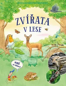 Zvířata v lese - Reichenstetter Friederun