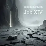 Radim Bačuvčík, VeRBuM DiGNuM – Job XIV