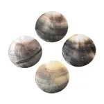 Natural Black Lip Shell Pendants