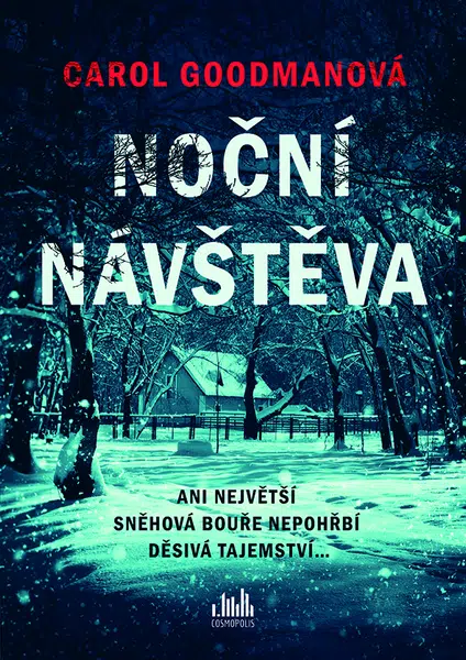 E-kniha: Noční návštěva od Goodmanová Carol
