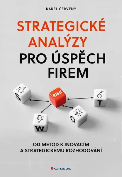 Strategické analýzy pro úspěch firem, Červený Karel