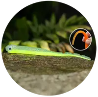 Redbass smáčik big snake signal yellow g uv color - 15,5 cm 11 g