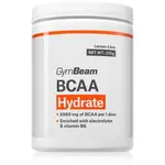 GymBeam BCAA Hydrate komplex aminokyselin pro podporu sportovního výkonu příchuť Lemon Lime 375 g