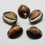 Natural Cowrie Shell Beads