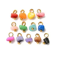 Dyed Natural Freshwater Shell Nuggets Charms