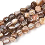 Natural Freshwater Shell Beads Strands