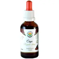 Salvia Paradise Čaga bezalkoholová tinktúra tinktúra na podporu imunitného systému 50 ml