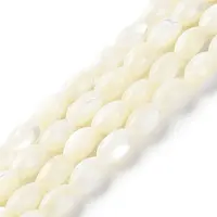 Natural Trochus Shell Beads Strands
